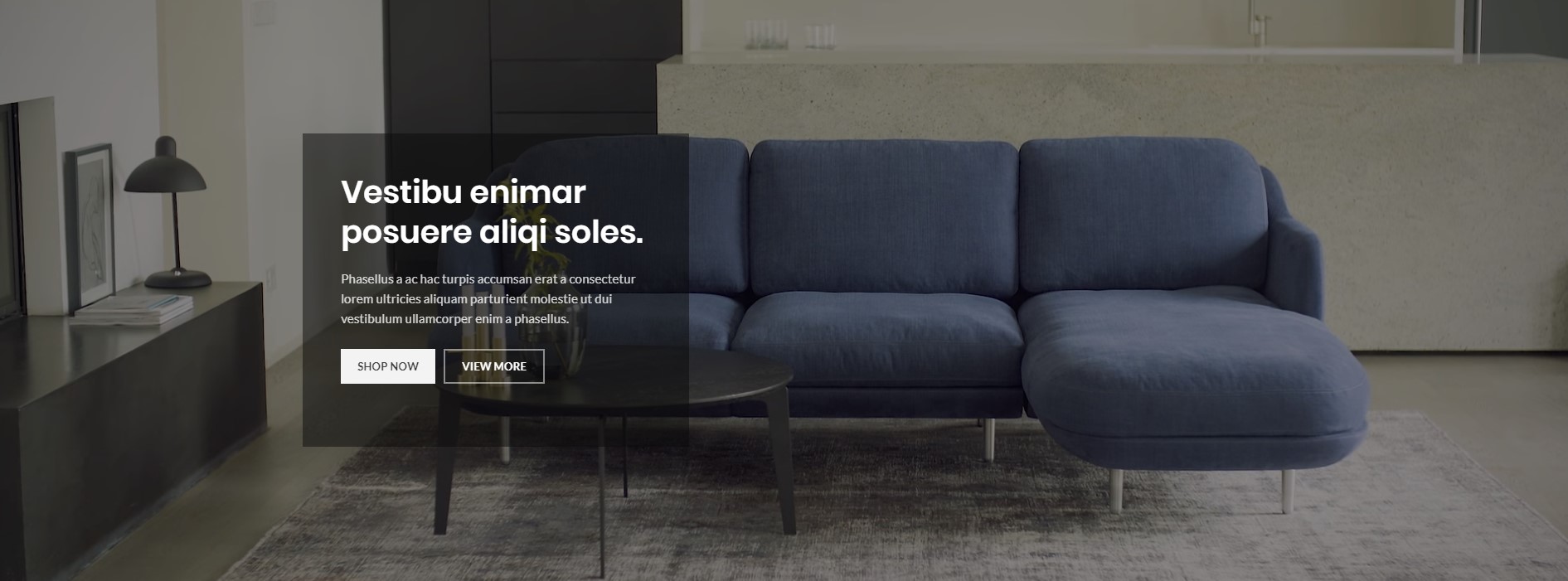 Full width video background