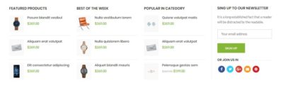 Products widget + newsletter