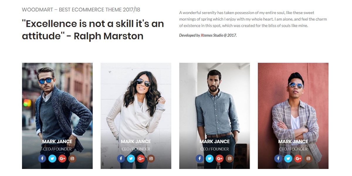 About us + team members
