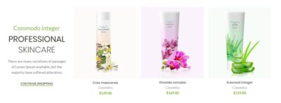 Products carousel with text