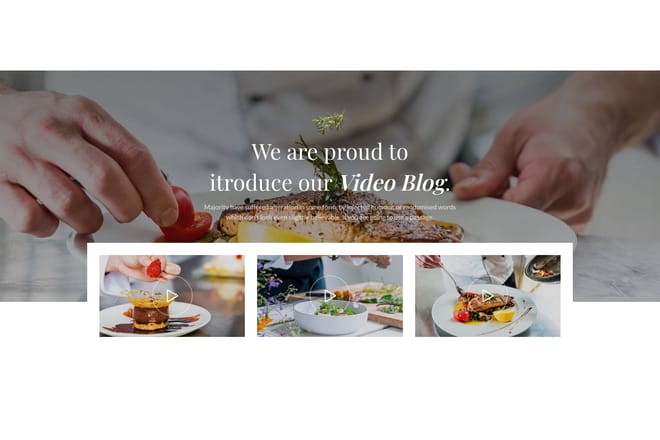 Full width section + video gallery