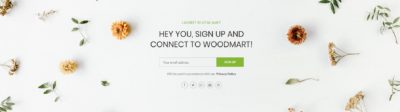 Subscription full width + social icons