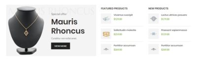 Products widgets + banners