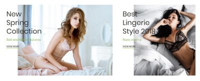 Lingerie banners