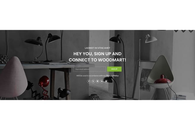 Newsletter + social icons