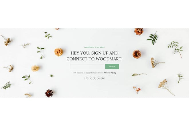 Subscription full width + social icons