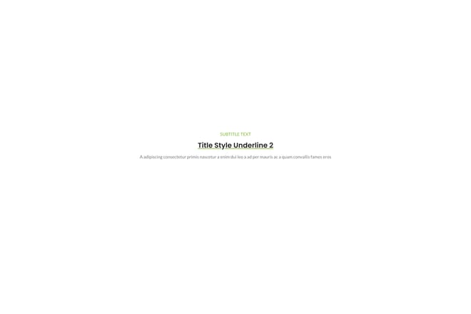 Title style underline 2