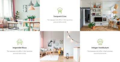 Image and info boxes grid