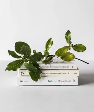 book-popup-opt