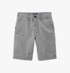 Gray Shorts