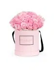 Roses in Pink