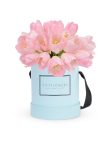 Tulips in Round