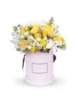 Scent of Summer