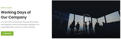 Corporate video