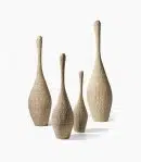 Bolla gervasoni
