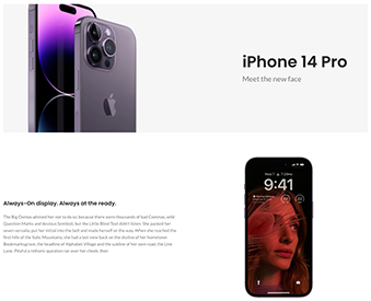 Mega Electronics product description #4
